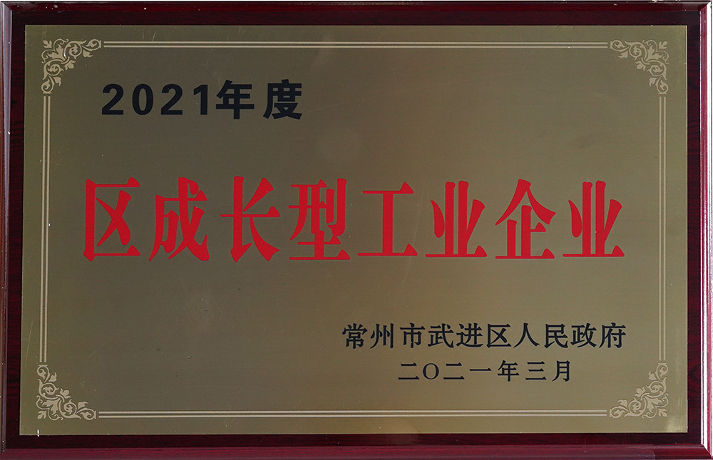 2021年度區成長型工業企業